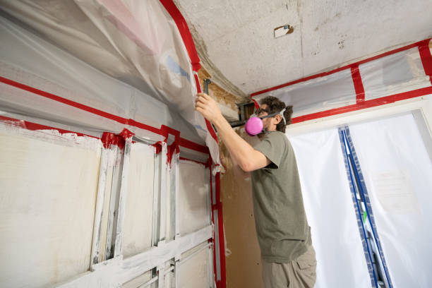Mold Odor Removal Services in New Haven, CT