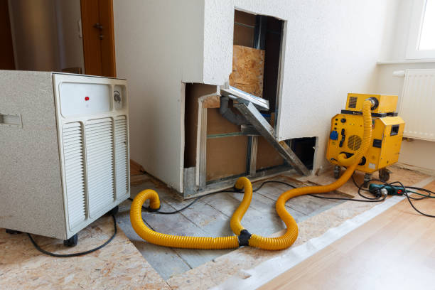 Best Commercial Mold Inspection  in New Haven, CT
